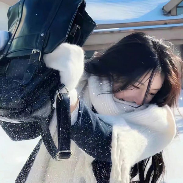 一条狗的回家路